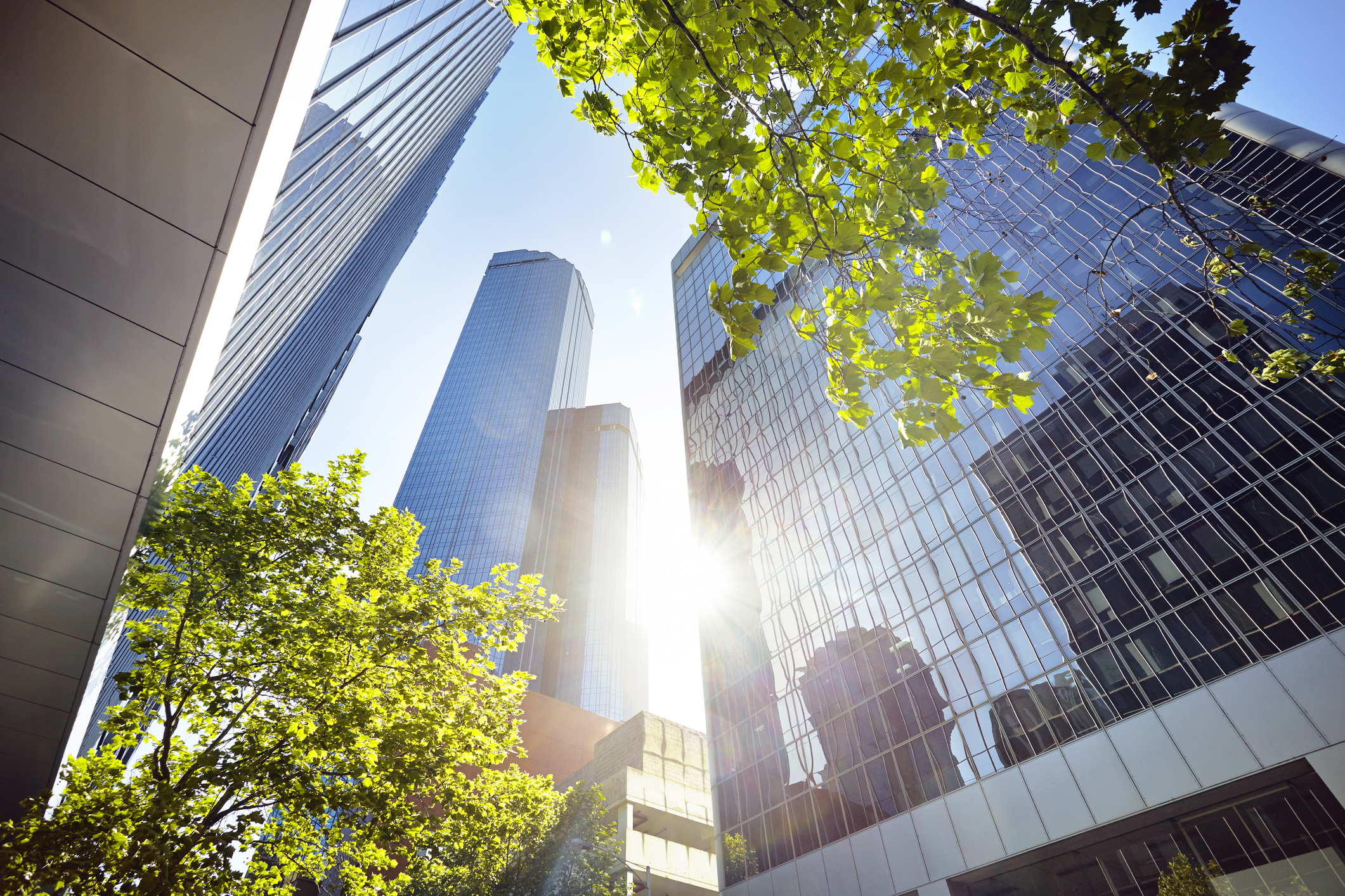 Five Actions Australian Multinationals Can Take Now to Prepare for Pillar Two